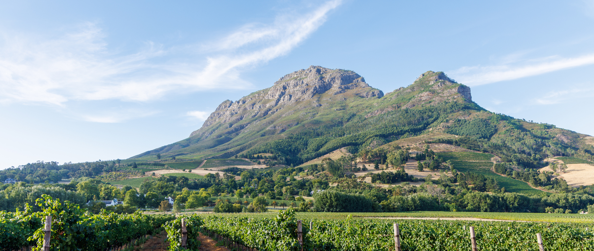 Set in Paarl Winelands: A Lifestyle Defined by Place